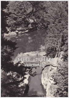 Přírodní památka ŽIDOVA STROUHA