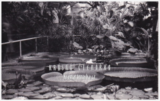 LIBEREC, Botanická zahrada