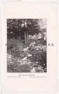 LIBEREC (Partie z Fojtky)