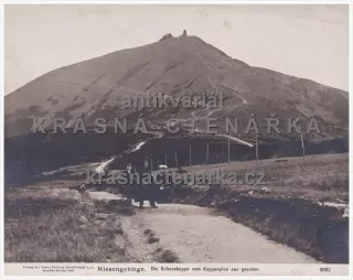 KRKONOŠE  (Sněžka)