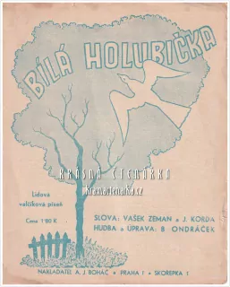Píseň BÍLÁ HOLUBIČKA