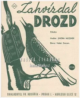 Píseň ZAHVÍZDAL DROZD