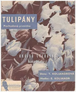 Píseň TULIPÁNY
