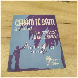 Píseň ČEKÁM TĚ SÁM