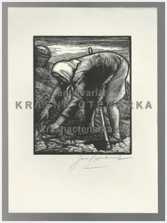 HOLLAR 1954/1 + grafický list JAN RAMBOUSEK