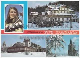 DOLNÍ BRUSNICE (Hotel Pod Zvičinou)