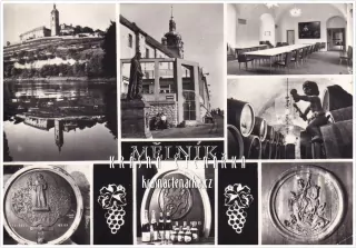 MĚLNÍK, Zámecká vinárna