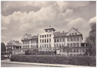 MŠENO, Základní škola