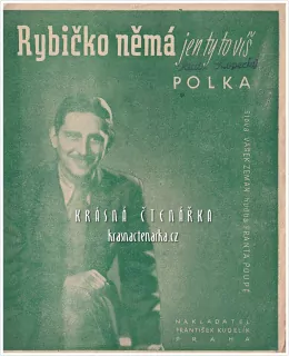 Píseň RYBIČKO NĚMÁ, JEN TY TO VÍŠ