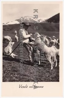 KROJE