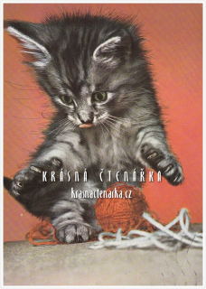KOTĚ s klubíčkem