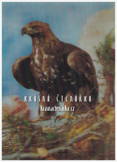 OREL, Pohlednice trojrozměrná
