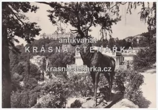 KARLOVY VARY (jelen u Parkhotelu Richmond)