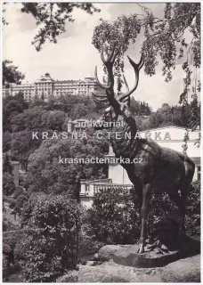 KARLOVY VARY (jelen u Parkhotelu Richmond)