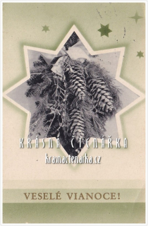 Přání VÁNOČNÍ či NOVOROČNÍ