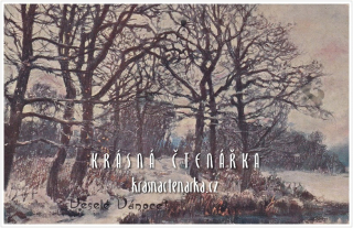 Přání VÁNOČNÍ či NOVOROČNÍ (il. Engelmüller Ferdinand)