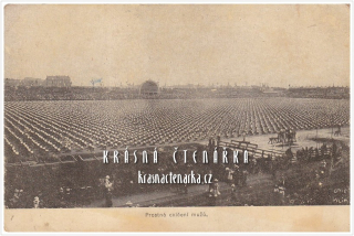 VI. SLET VŠESOKOLSKÝ V PRAZE 1912, Prostná cvičení mužů