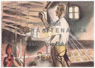 ILUSTROVANÁ pohlednice (il. Strnadel Antonín)