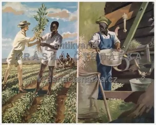 Macmillan's History Pictures: HARVESTING GROUNDNUTS IN EAST AFRICA