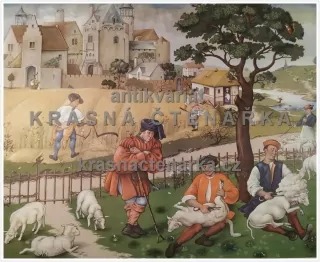 Macmillan's History Pictures: SHEEP-SHEARING AND REAPING, 15th C.