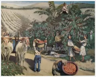 Macmillan's History Pictures: HARVESTING COFFEE-BERRIES IN COSTA RICA