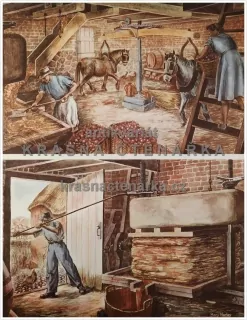 Macmillan's History Pictures: FARMHOUSE CIDER IN DEVONSHIRE