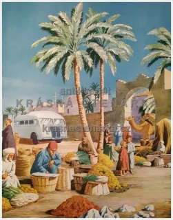 Macmillan's History Pictures: AN OASIS IN NORTH AFRICA