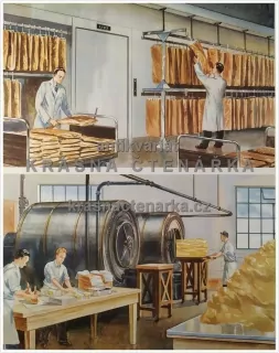 Macmillan's History Pictures: DAIRY FACTORIES FOR BUTTER AND BACON