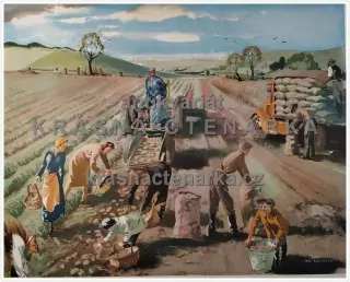 Macmillan's History Pictures: LIFTING POTATOES BY MECHANICAL DIGGER