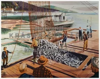 Macmillan's History Pictures: A HAUL OF SALMON IN ALASKA