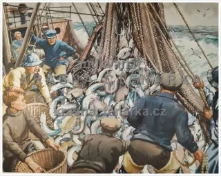 Macmillan's History Pictures: RELEASING THE CATCH IN A TRAWLER