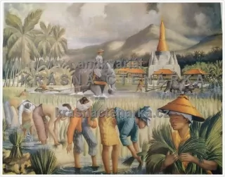 Macmillan's History Pictures: SETTING OUT RICE-PLANTS IN BURMA
