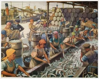 Macmillan's History Pictures: HERRINGS II. - PREPARING THE FISH FOR EXPORT