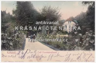 KARLOVY VARY (kavárna na Výšině přátelství)