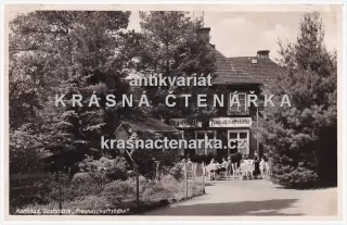 KARLOVY VARY (kavárna na Výšině přátelství)