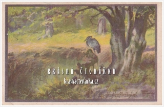 SPOLEK NĚMCŮ V ČECHÁCH, Nakladatelství Via-Verlag (Jung-Ilsenheim Franz Xaver)