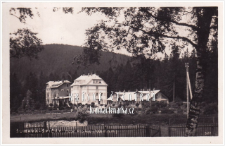 ŠPIČÁK - ŽELEZNÁ RUDA, Pohled na hotel Prokop