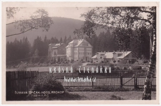 ŠPIČÁK - ŽELEZNÁ RUDA, Pohled na hotel Prokop