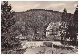 ŠPIČÁK - ŽELEZNÁ RUDA