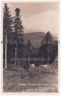 ŠUMAVA (Hora Falkenstein)