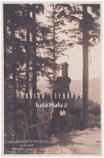 ŠUMAVA, Ze Špičáku ku Černému jezeru