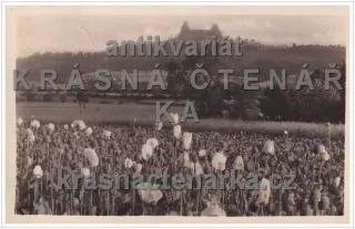 zřícenina hradu TROSKY