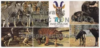 DVŮR KRÁLOVÉ NAD LABEM (Zoologická zahrada)
