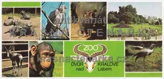 DVŮR KRÁLOVÉ NAD LABEM (Zoologická zahrada)