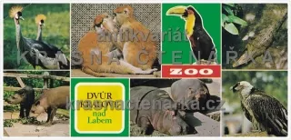 DVŮR KRÁLOVÉ NAD LABEM (Zoologická zahrada)