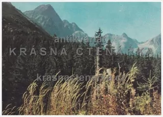 VYSOKÉ TATRY