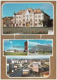 LEVICE