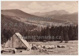 ORAVICE (Salaš na Jande)