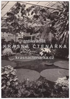 OLOMOUC (Flora Olomouc)