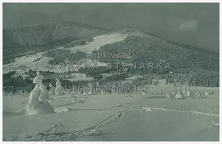 ŠUMAVSKÝ ŠPIČÁK